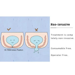 Ems dubens dugno raumenų reabilitacijos kėdė