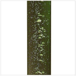 Burbulinis stulpelis